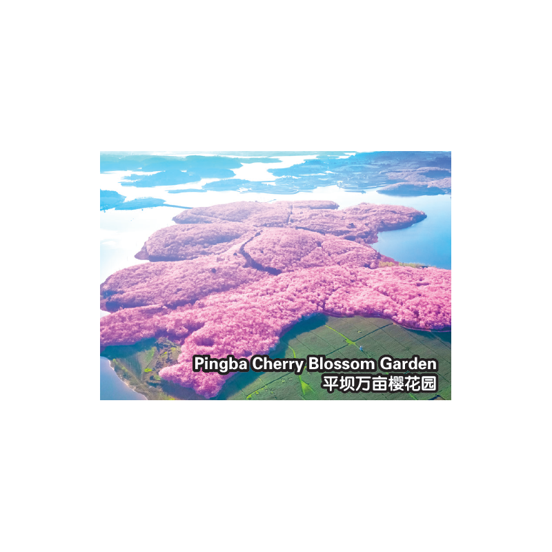 6_335900047